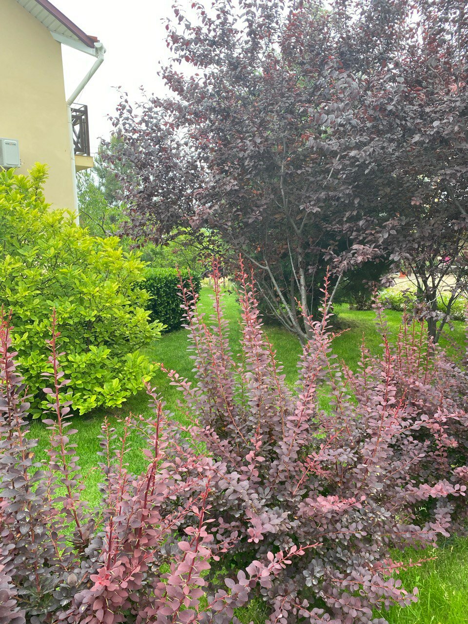 Фото Sineva Del Sol