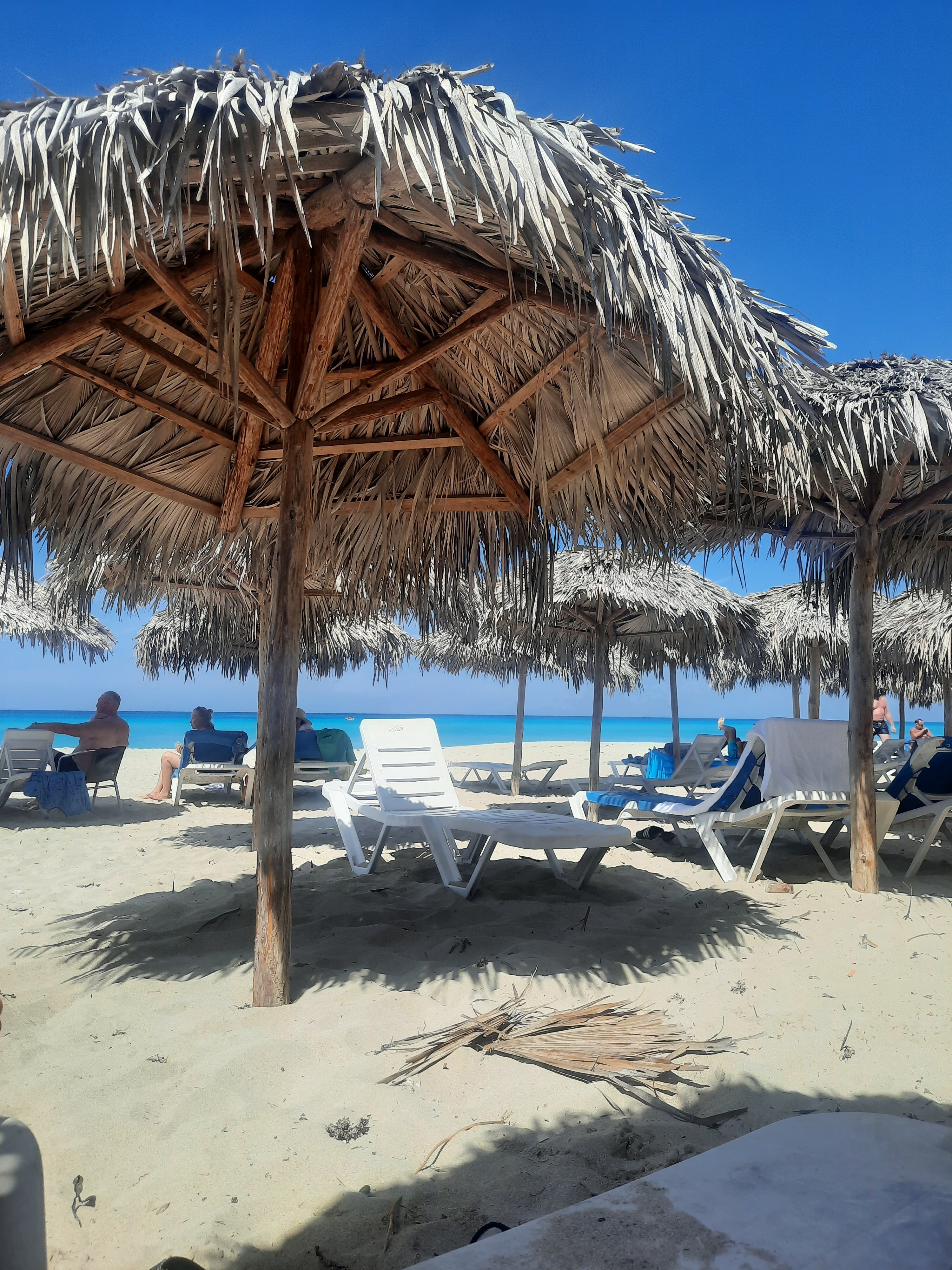 Фото Brisas del Caribe