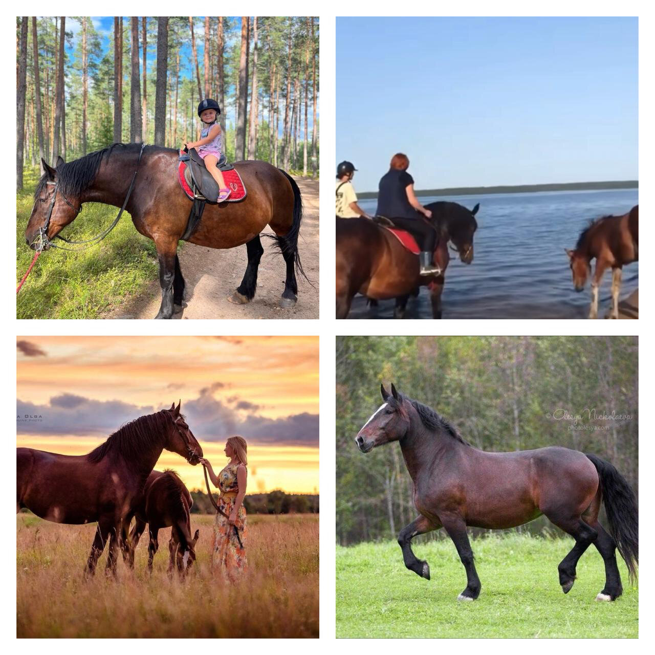 Фото Belka Village