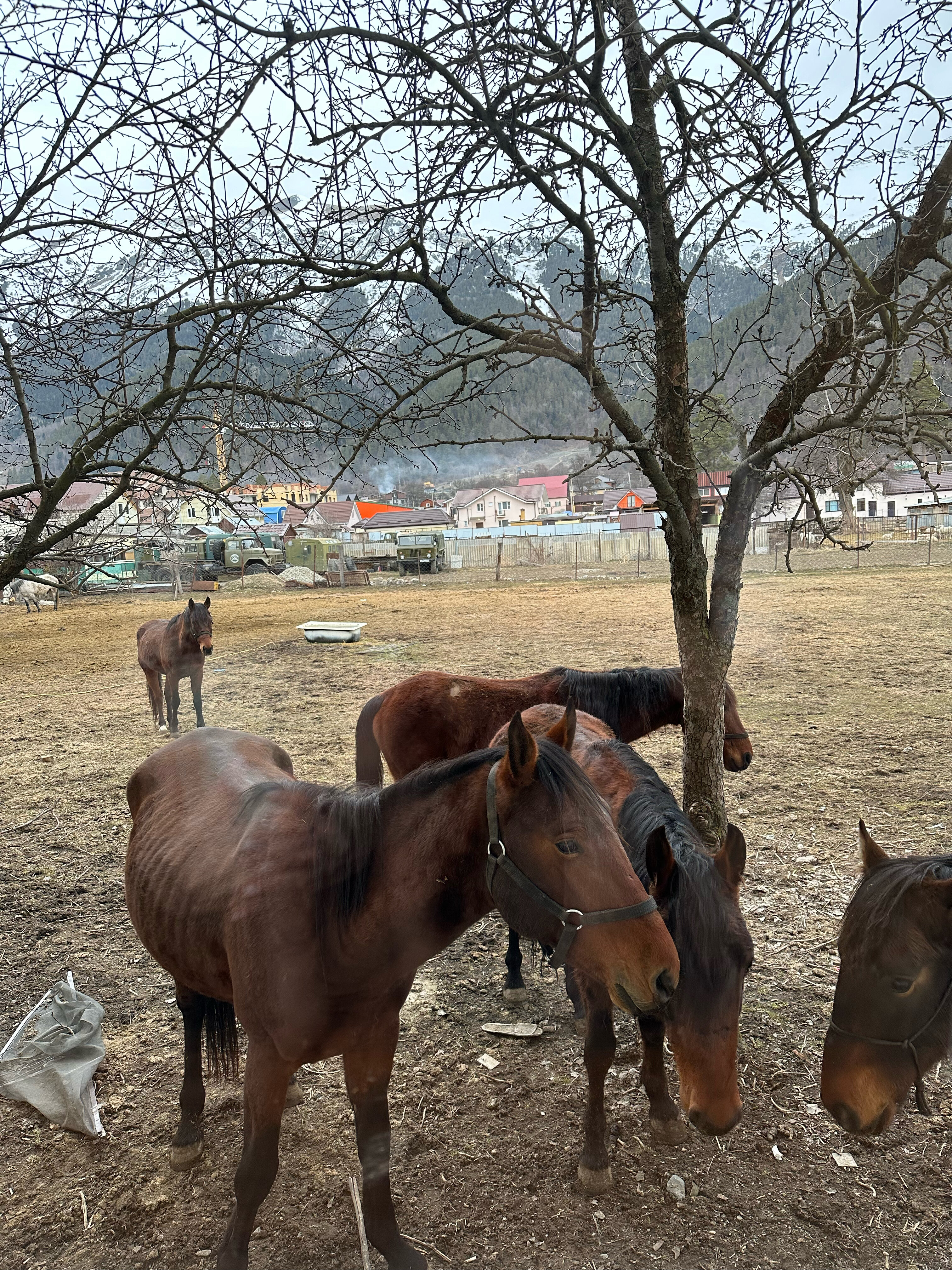 Фото Гранд Шале
