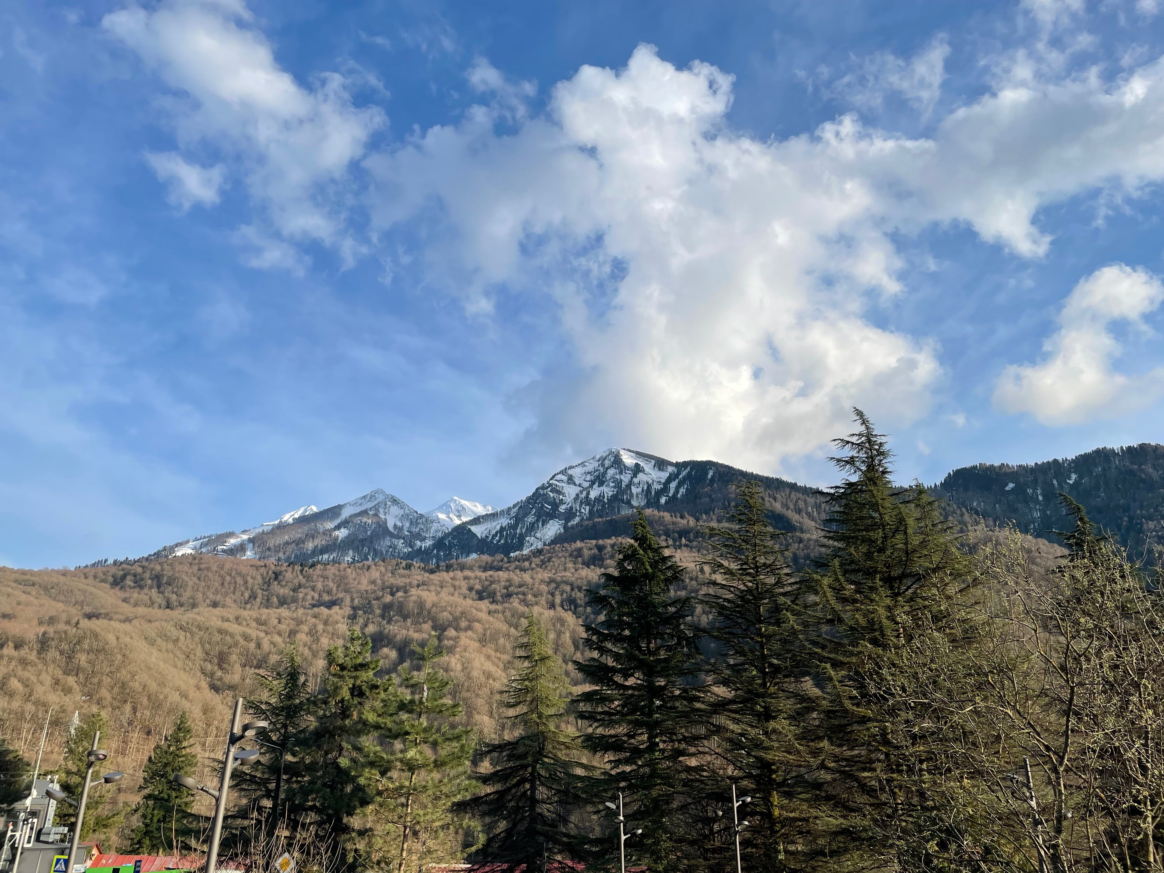 Фото Форрест