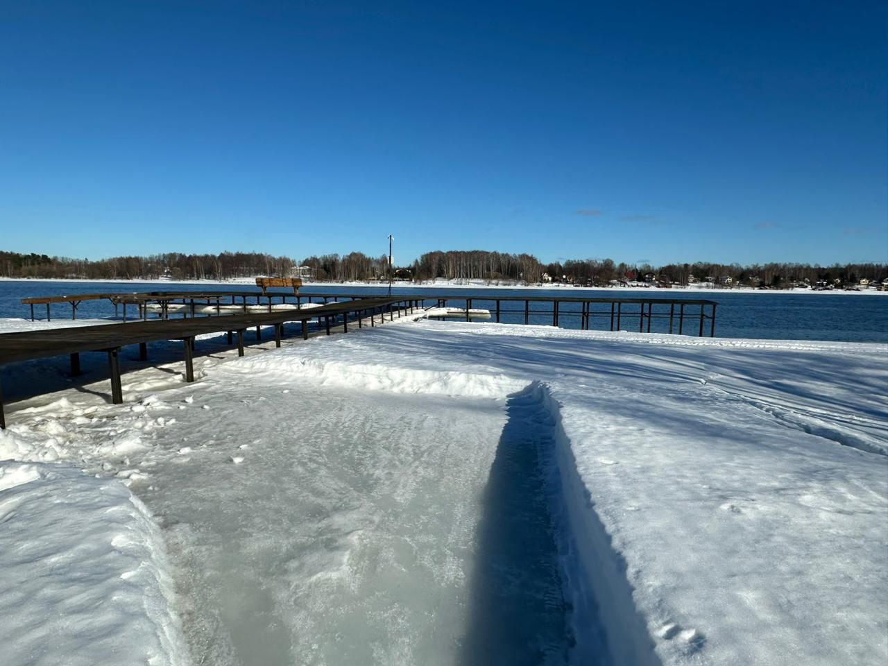 Фото Лес и Волга