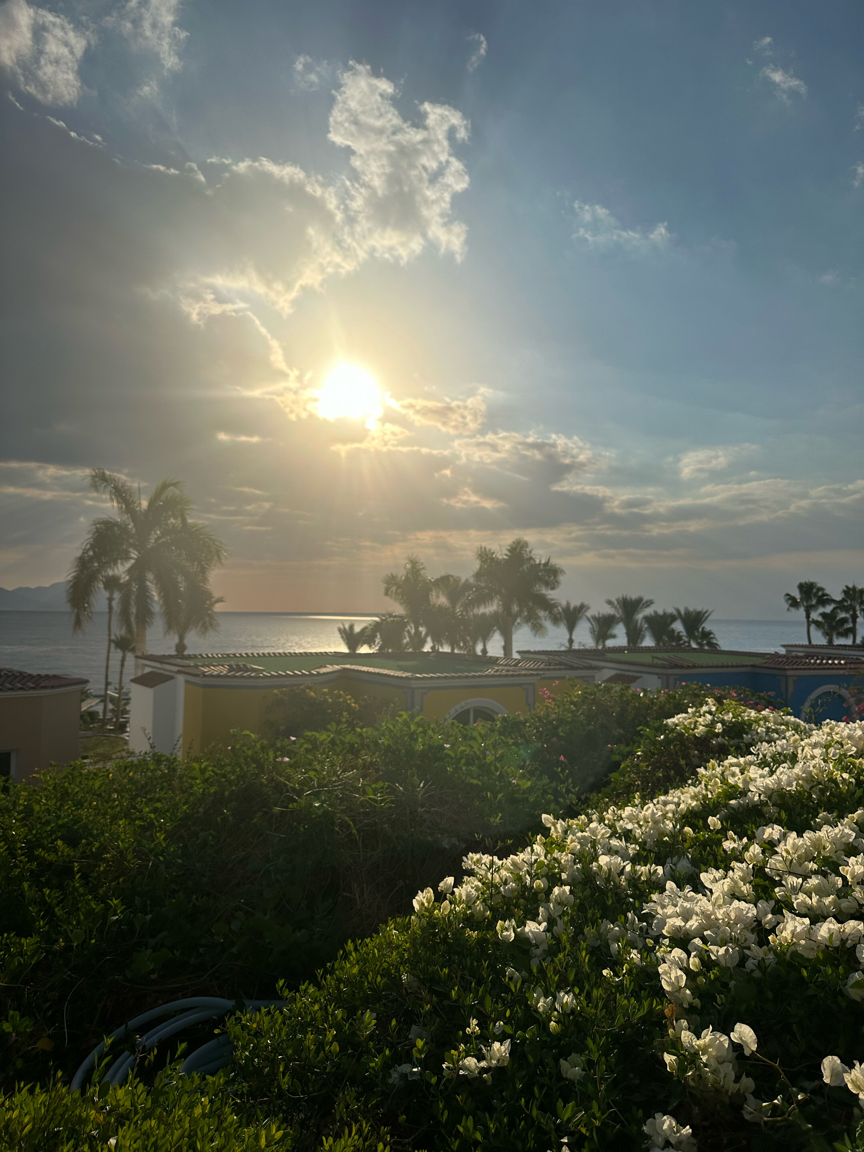 Фото Royal Savoy Sharm El Sheikh