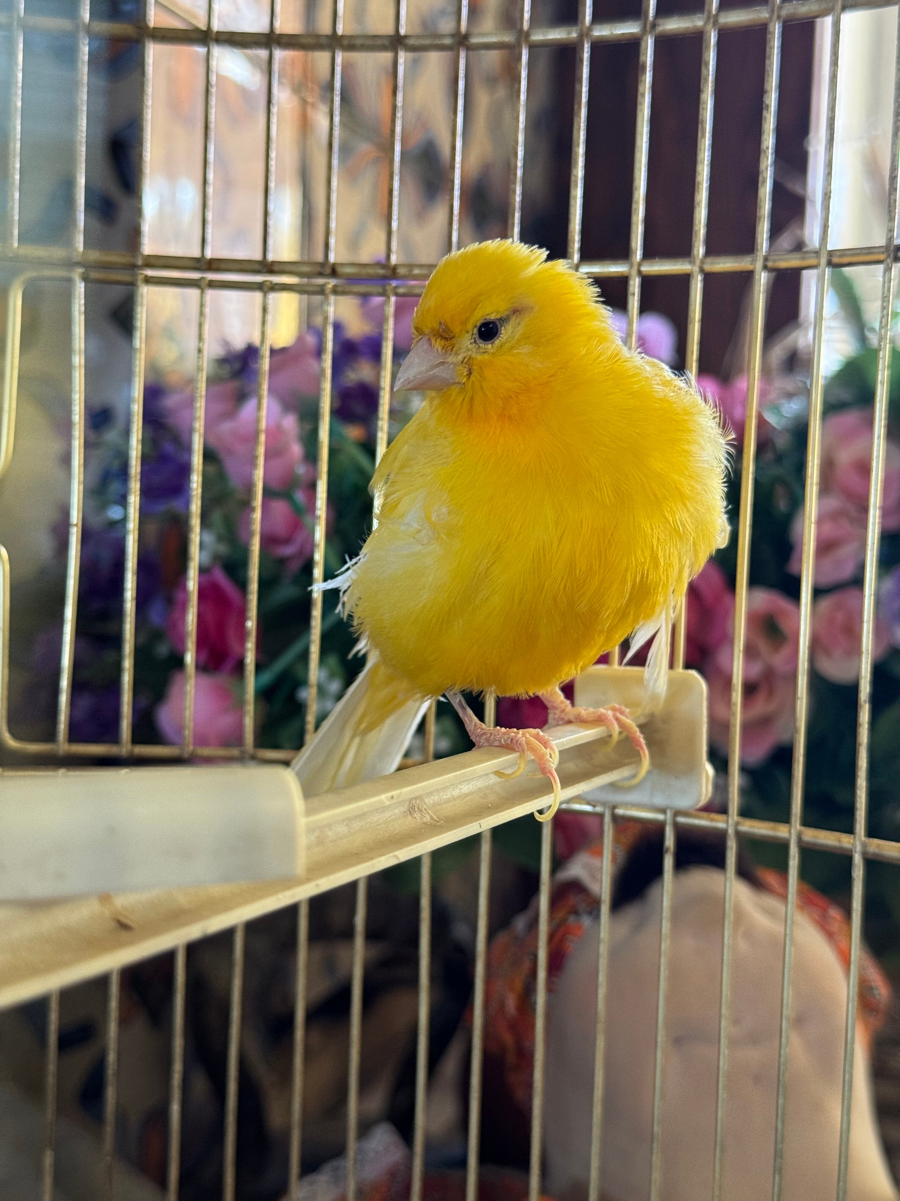 Фото Мотель Илевники