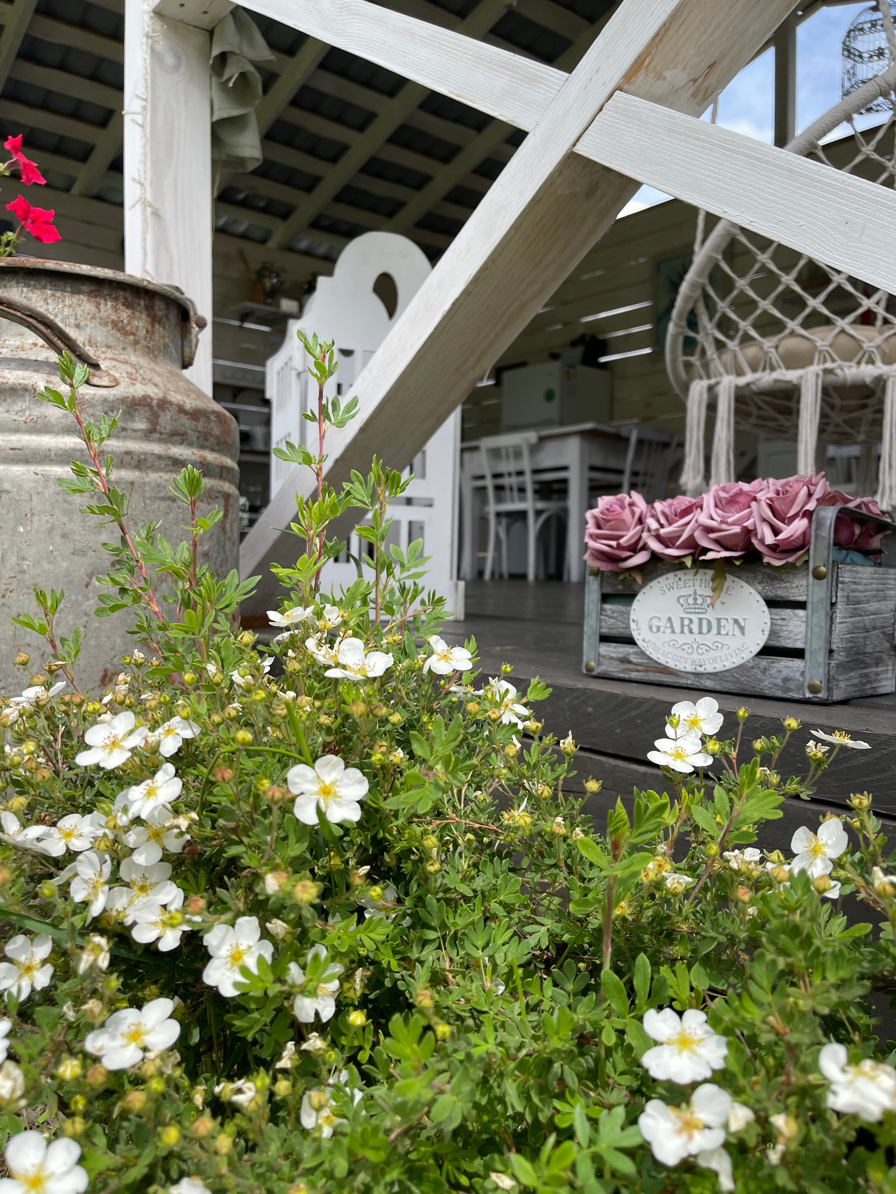 Фото Домик у Семеновны