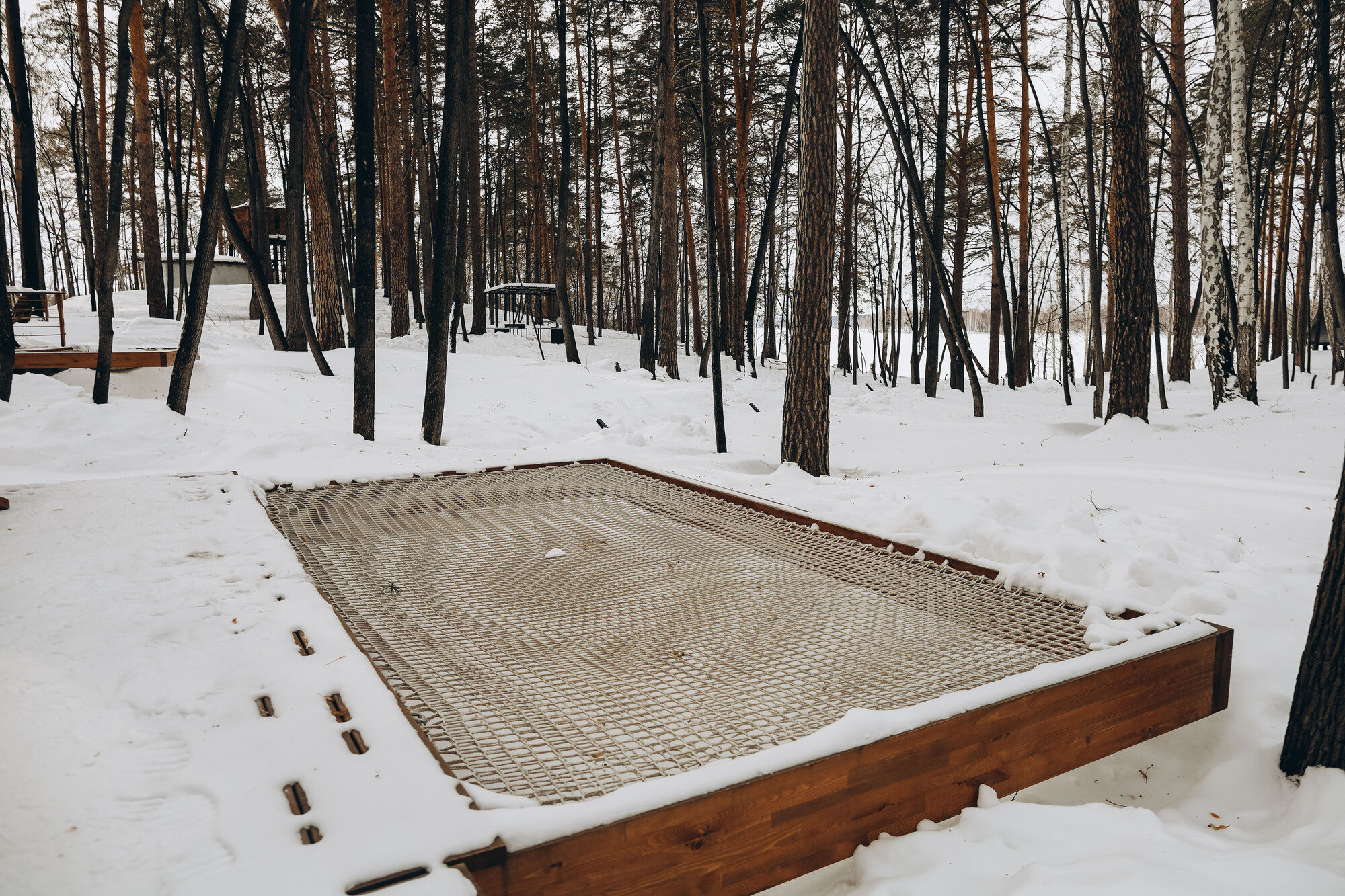 Фото Светлячок