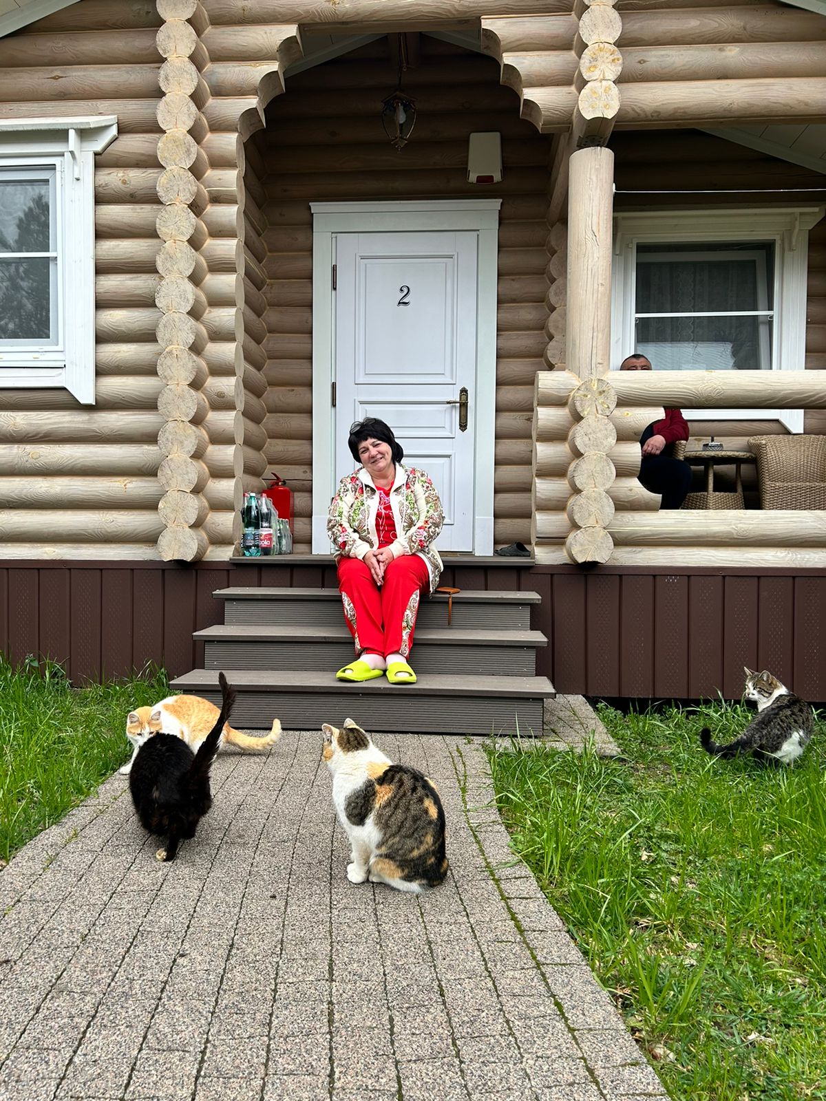 Фото Лаванда