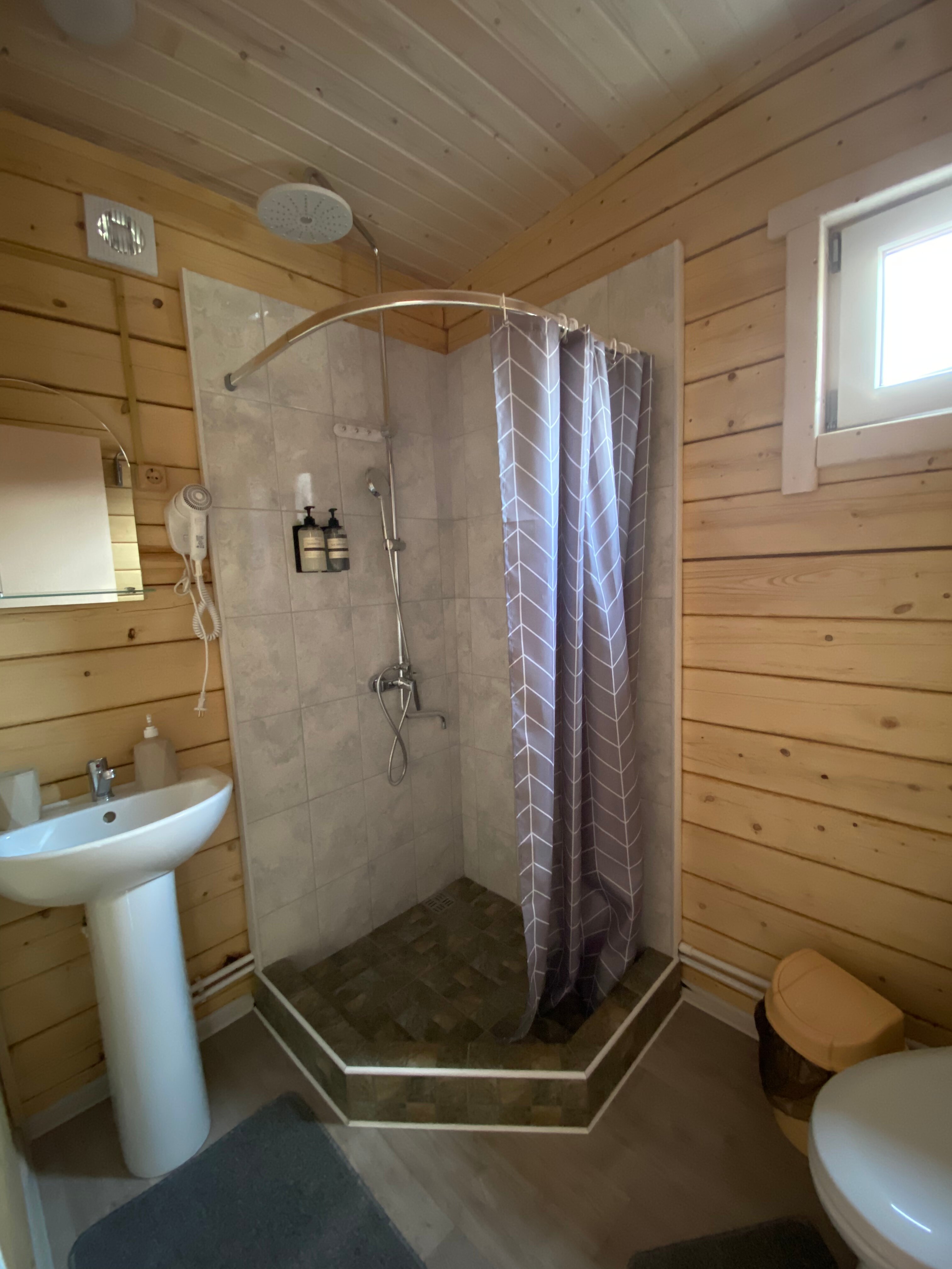 Фото Шишкин лес