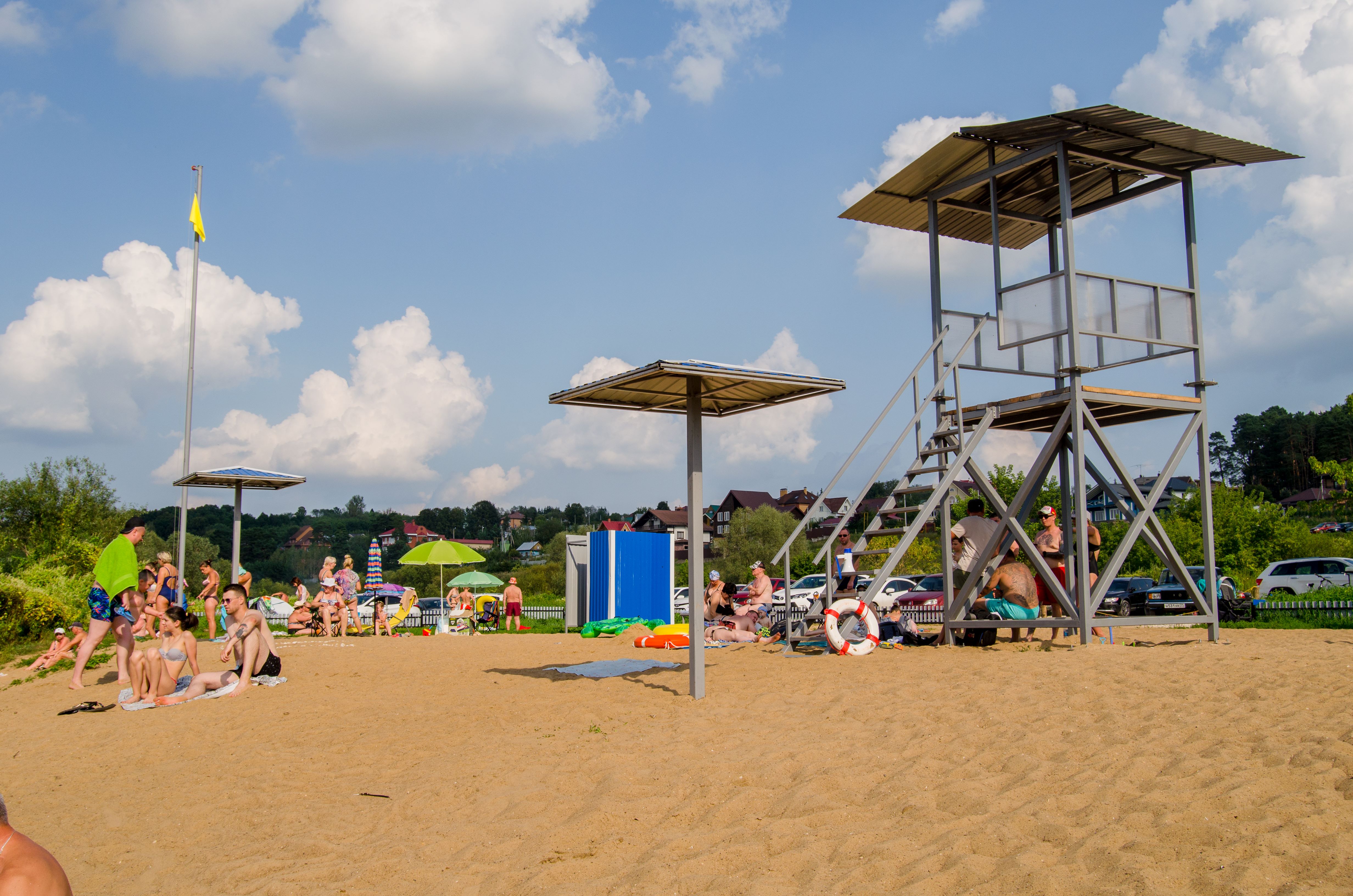 Фото Берёзовая роща