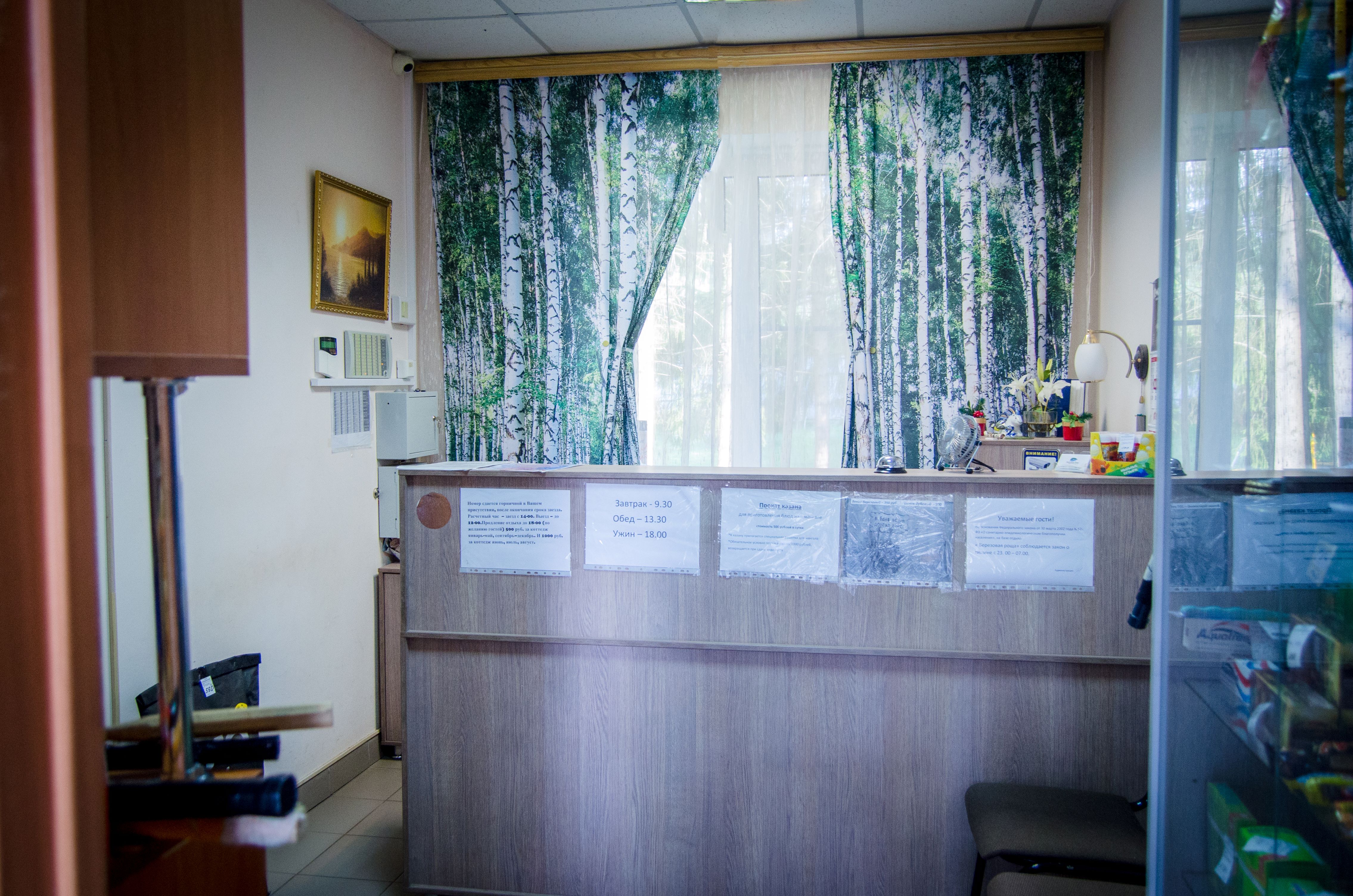 Фото Берёзовая роща