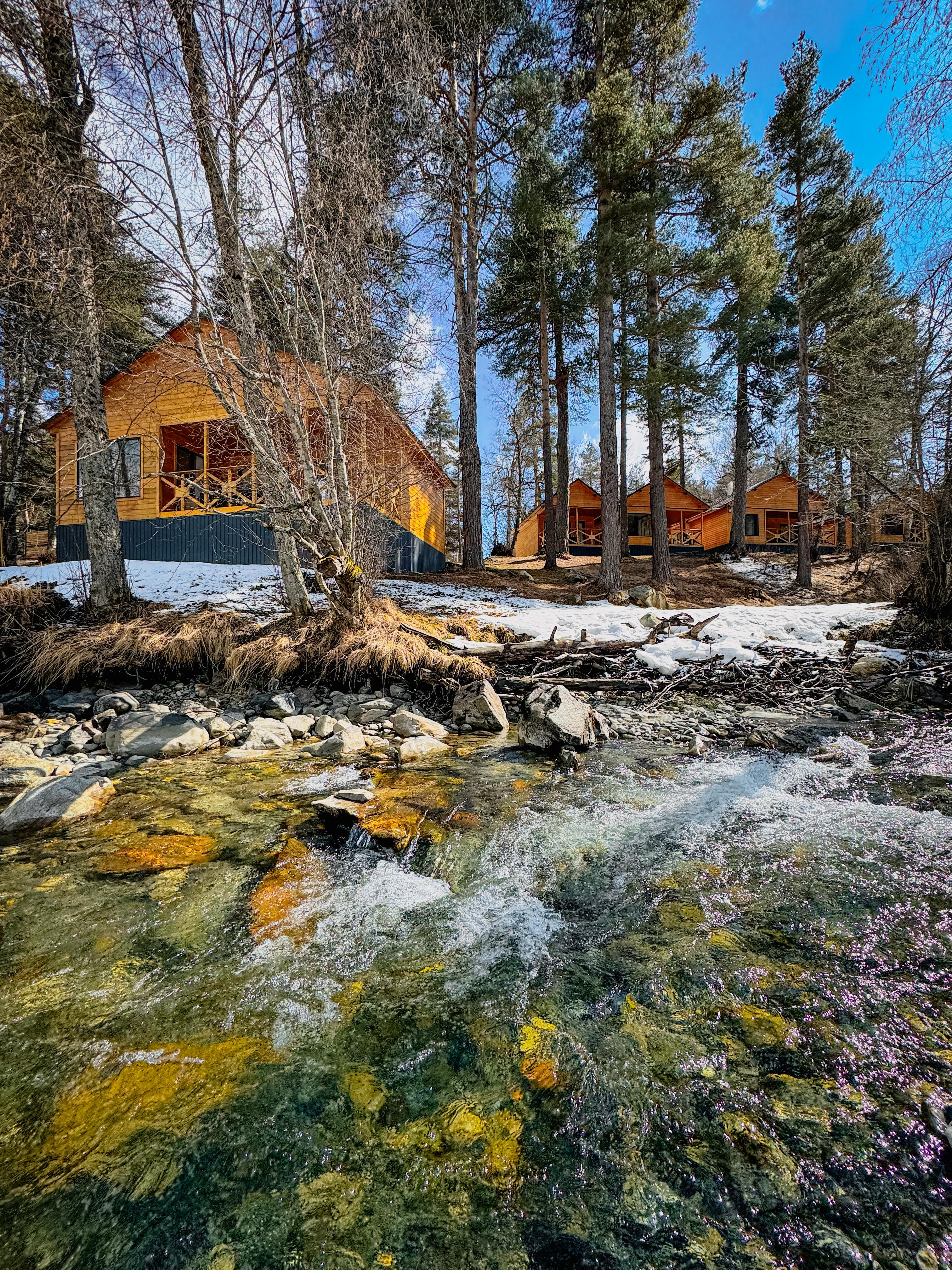 Фото Шале Хвоя