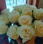 Гелиантус (rabochiy posyolok Monino, Moskovskaya Street, 2с4), flower shop