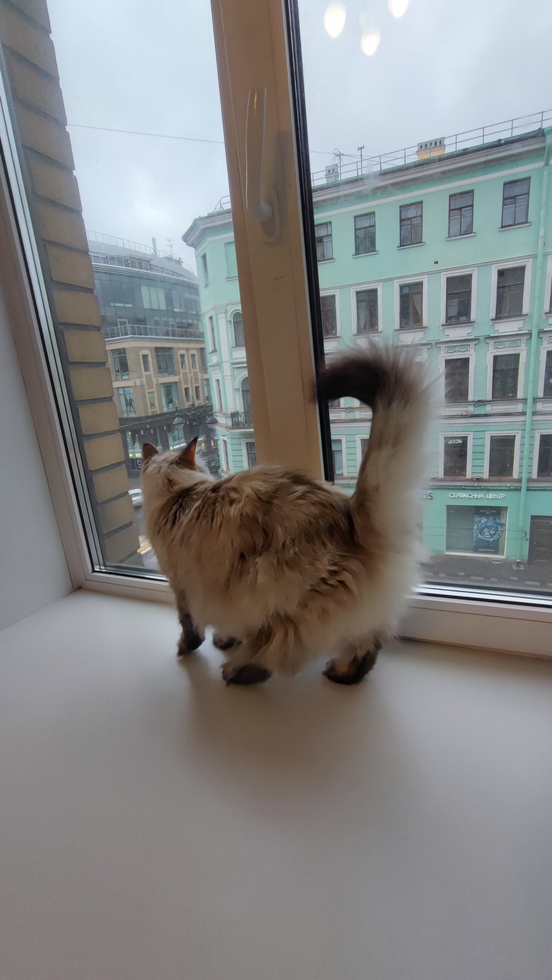 Фото Большой 45