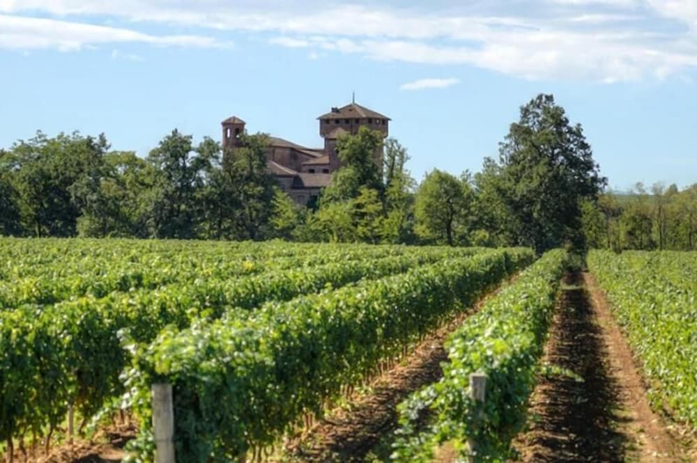 Фото B&b Le Strade del Gavi