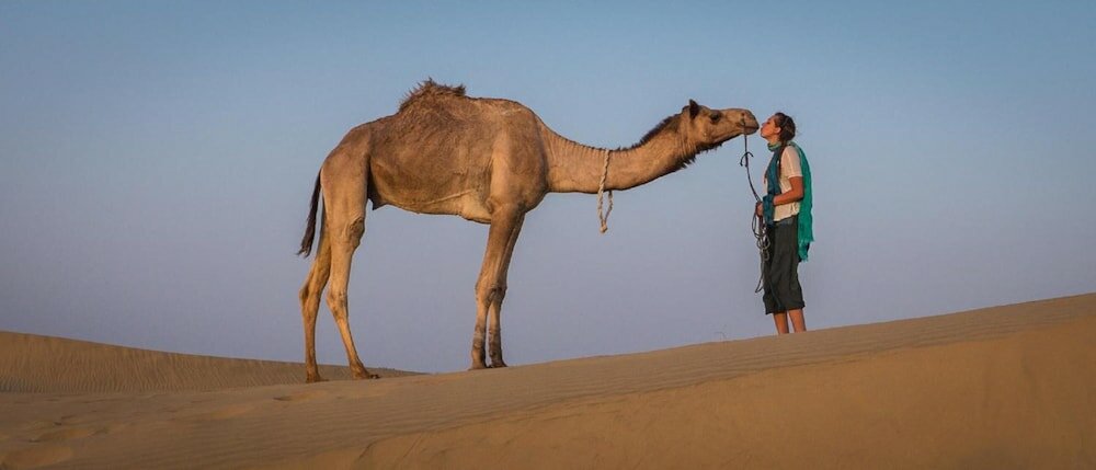 Фото Prithvi Palace