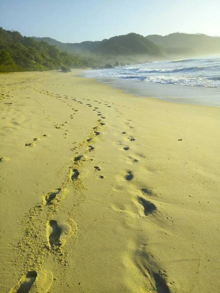 Фото Hotel Garni Cruzeiro do Sul