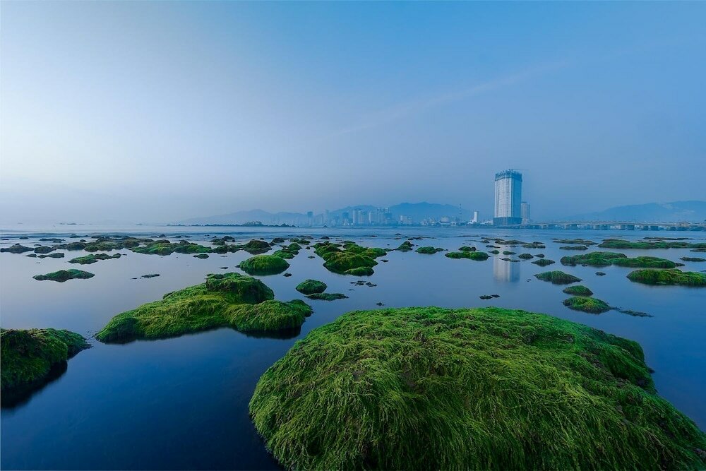 Фото Golden Lotus Central Hotel