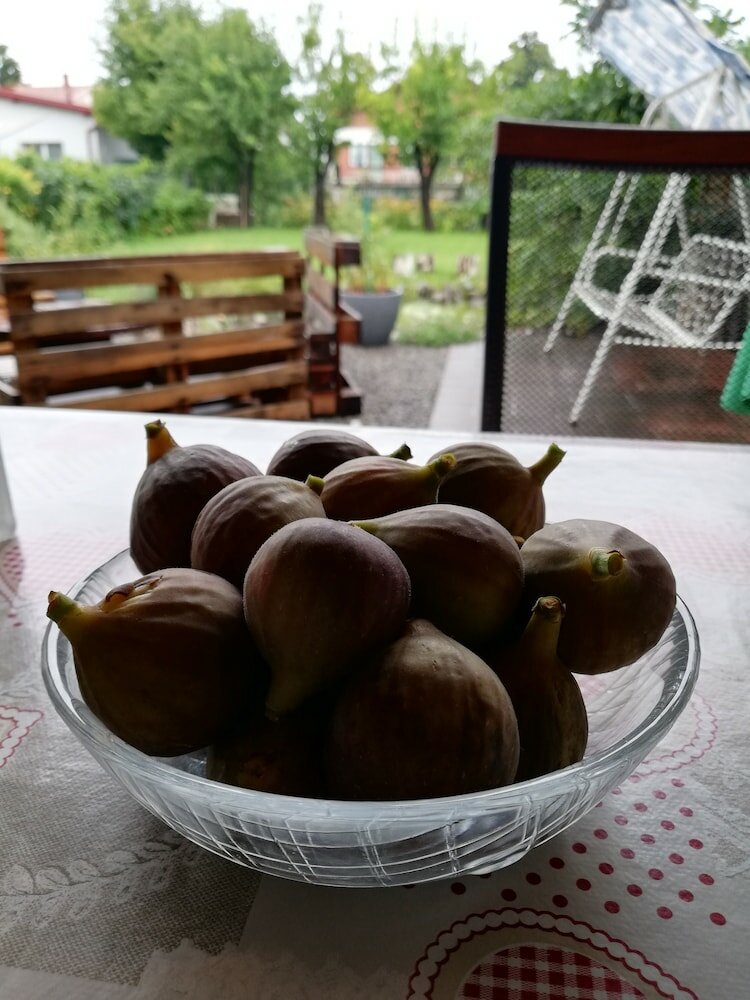 Фото Studio Apartments Korosteljev