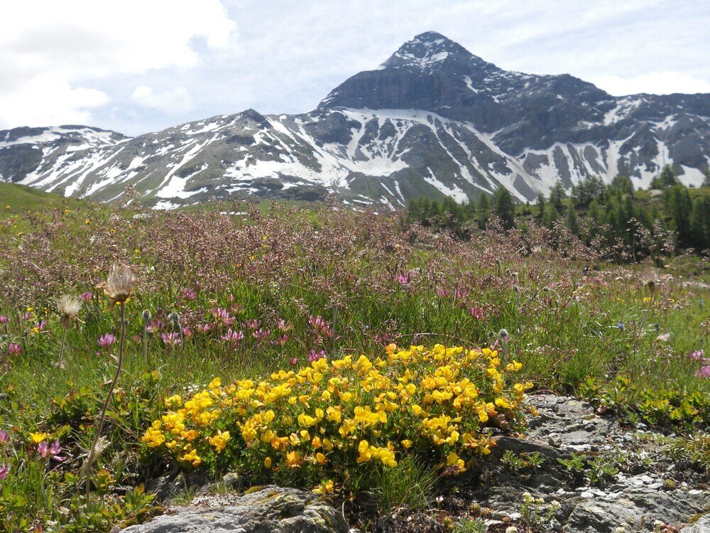 Фото Rifugio Ca Runcasch