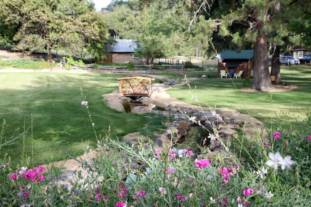 Фото The Davies Family Inn