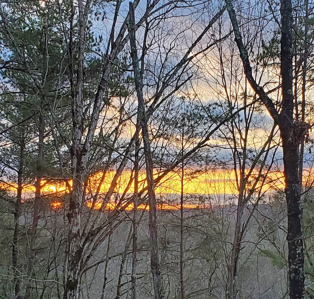 Фото The Villas at Coosawattee River Resort