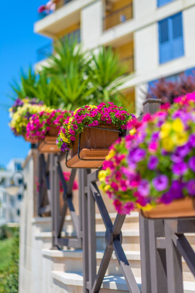 Фото Apart hotel MS Katunjanin