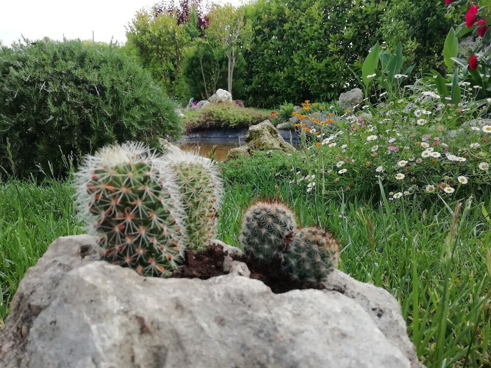 Фото Villetta Dote