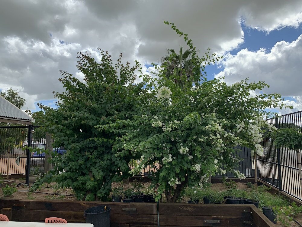 Фото Central Motel