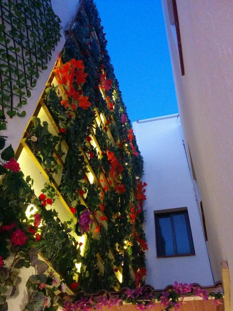 Фото Lucero 12 Marbella Hostal Boutique