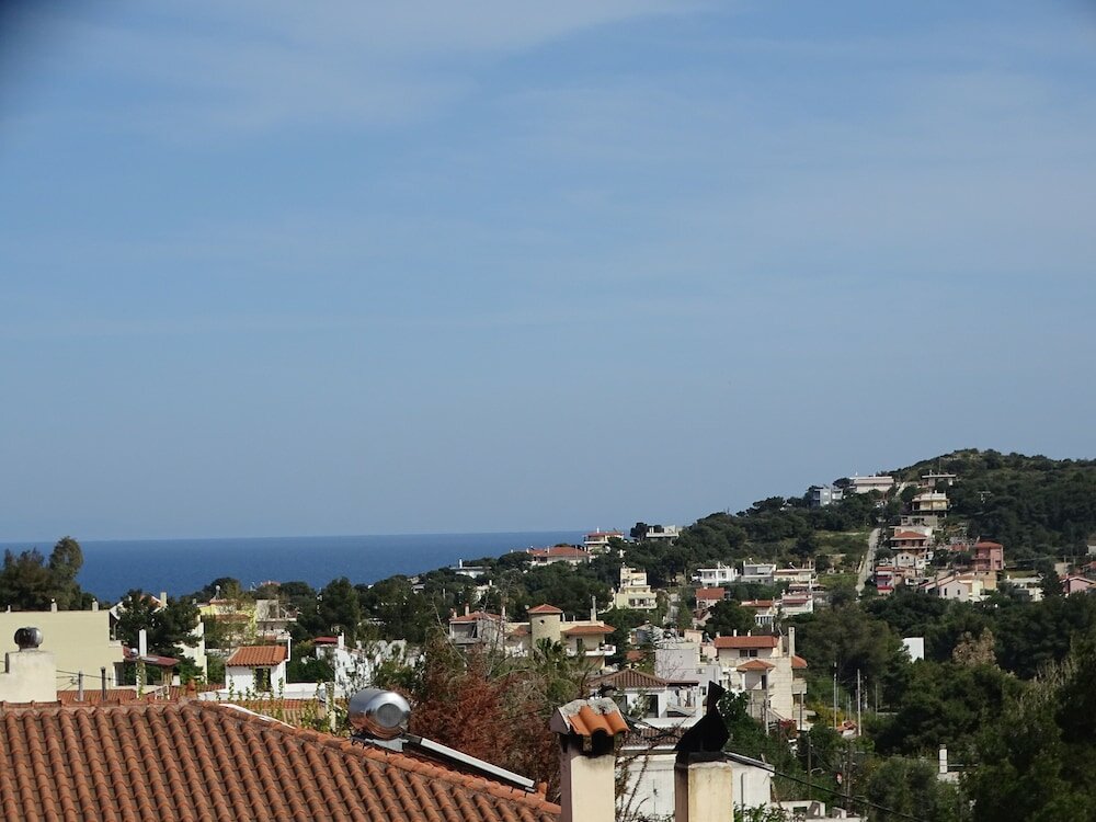 Фото Artemis GreenHill