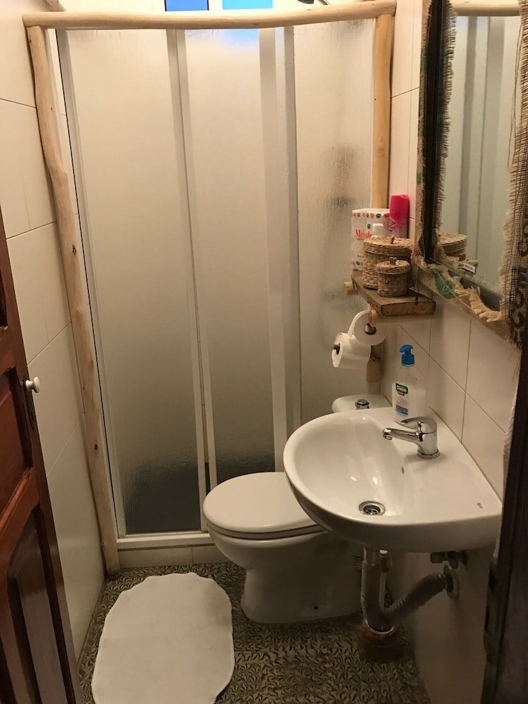 Фото Cactus Host