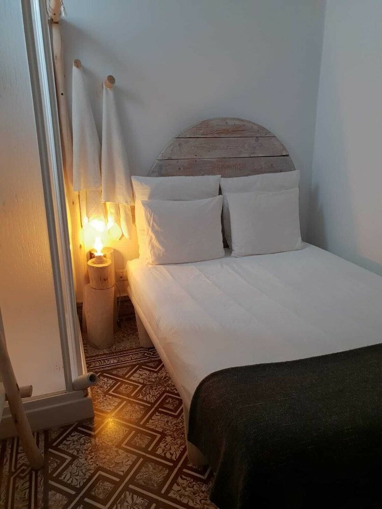 Фото Cactus Host