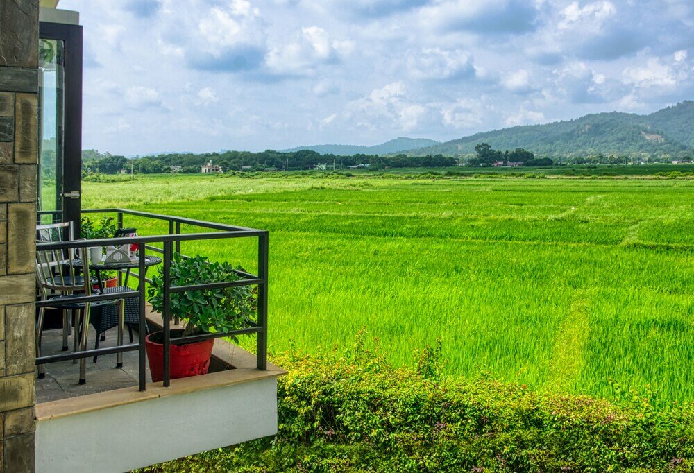 Фото Corbett Solitaire