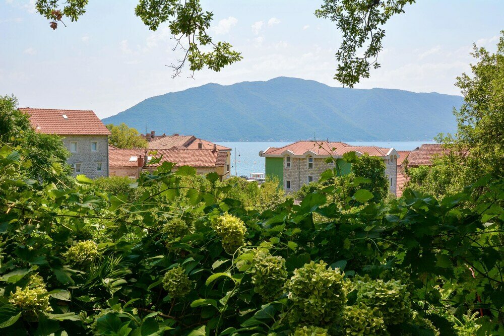 Фото Apartments Risan