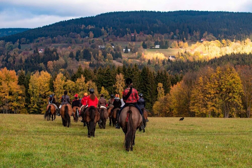 Фото ProFamily Top Benecko