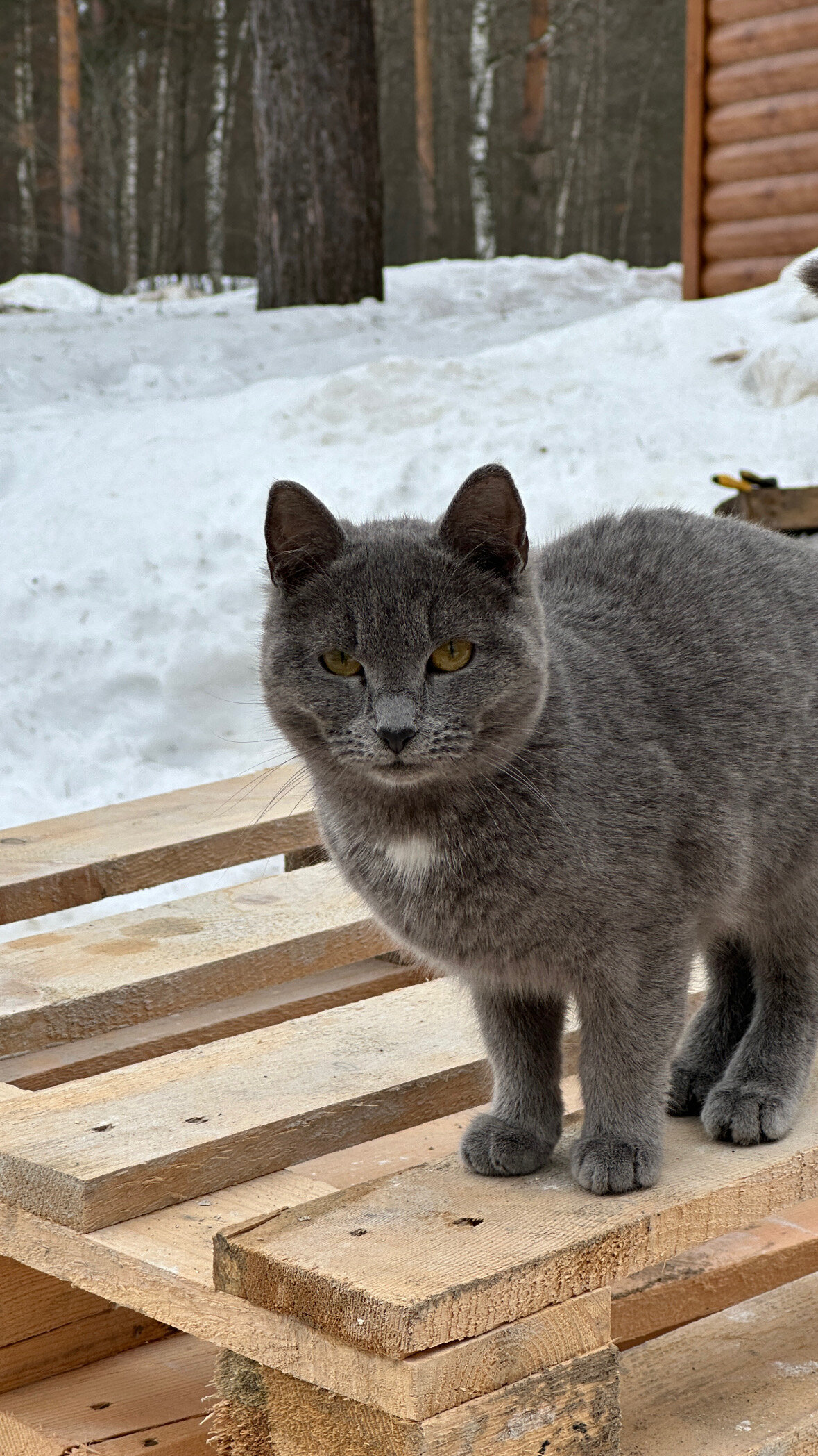 Фото Усадьба Тишина