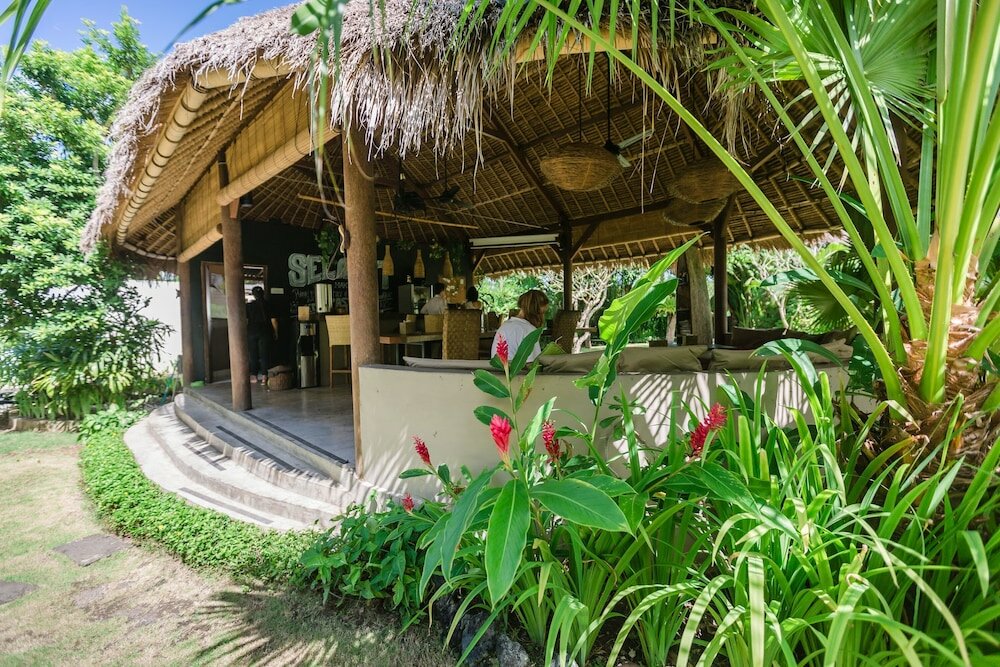 Фото Wave House surf camp