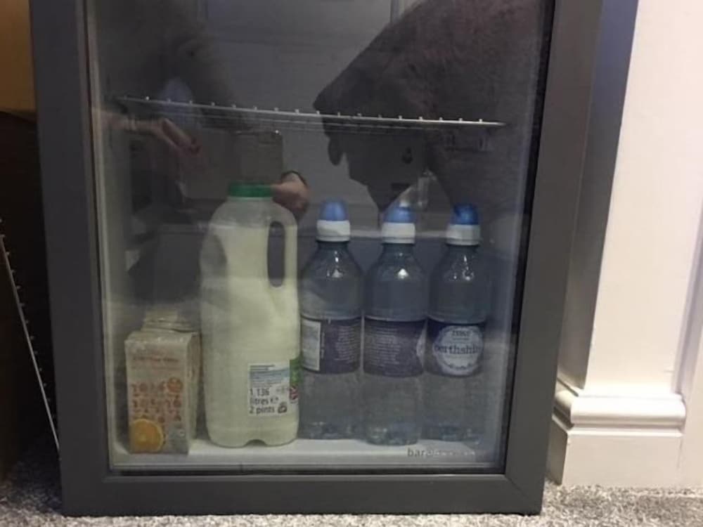 Фото Redwing Rise