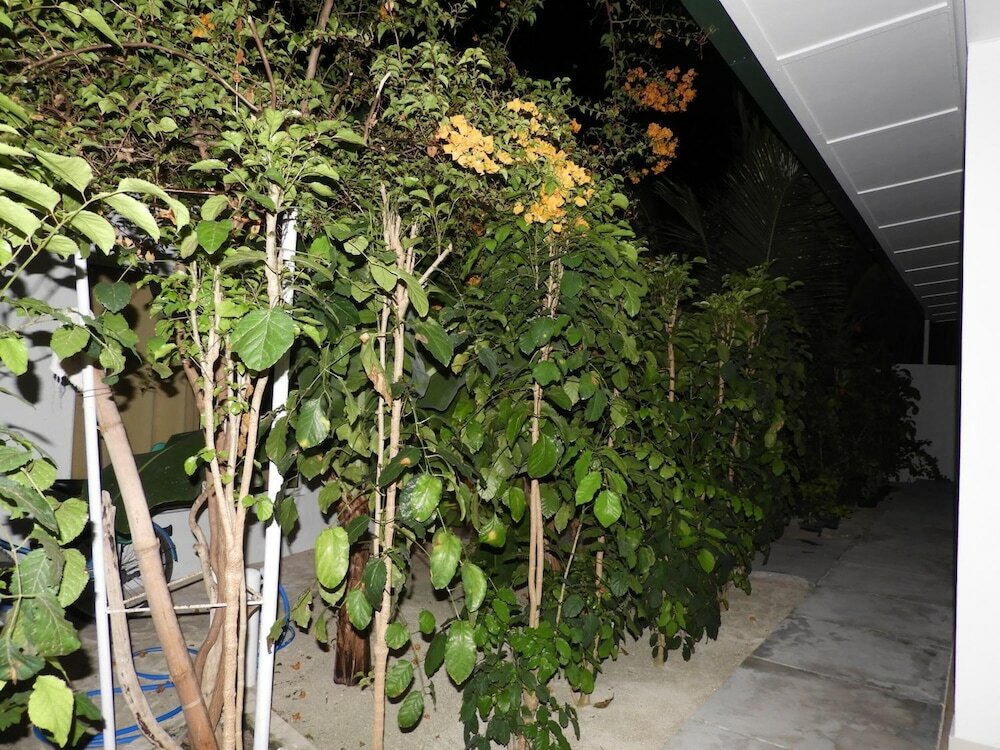 Фото Karaa Village