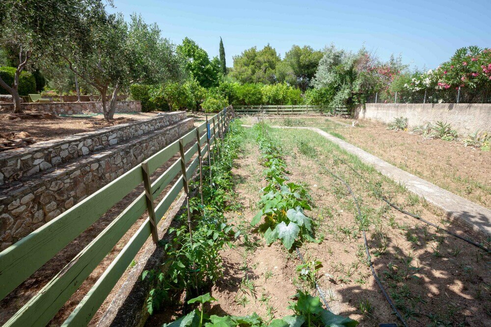 Фото Beautiful mini eco farmhouse