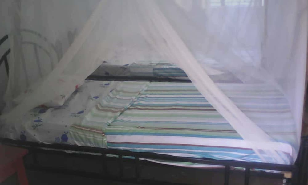 Фото Ancestors Lodge