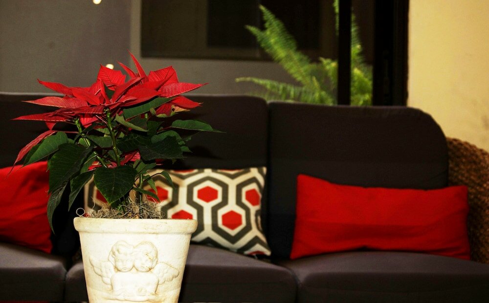 Фото Hotel Meson de Maria