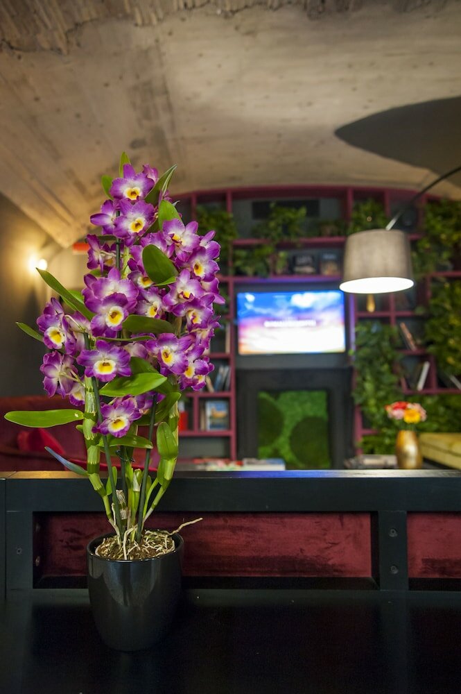 Фото Roma Luxus Hotel