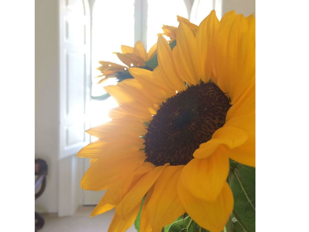 Фото Giardini Mon Plaisir