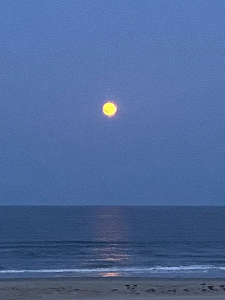 Фото Sea Spray Condo