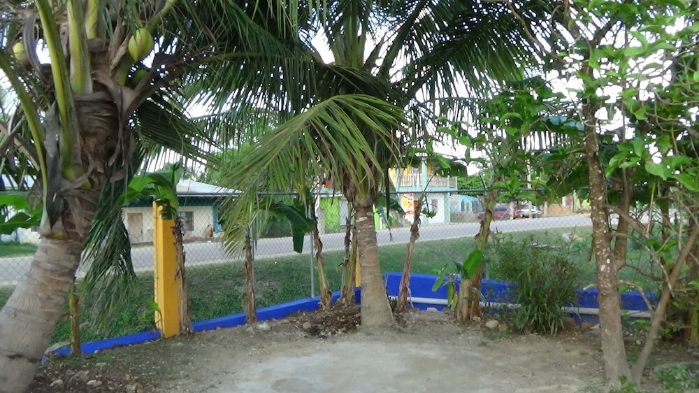 Фото Hacienda Tropical Guest House