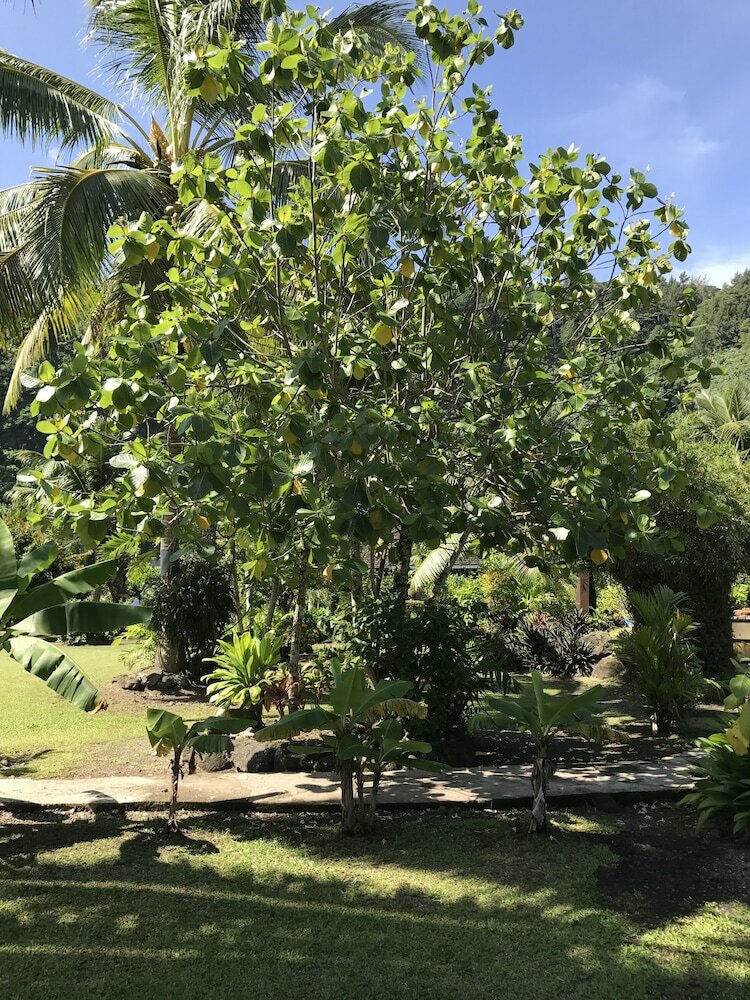 Фото Punatea Village