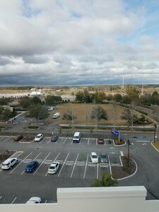 Гостиница Hilton Garden Inn Tampa Suncoast Parkway