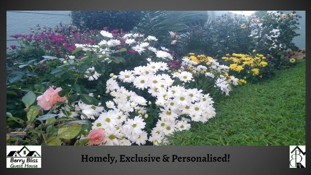 Фото Berry Bliss Guest House
