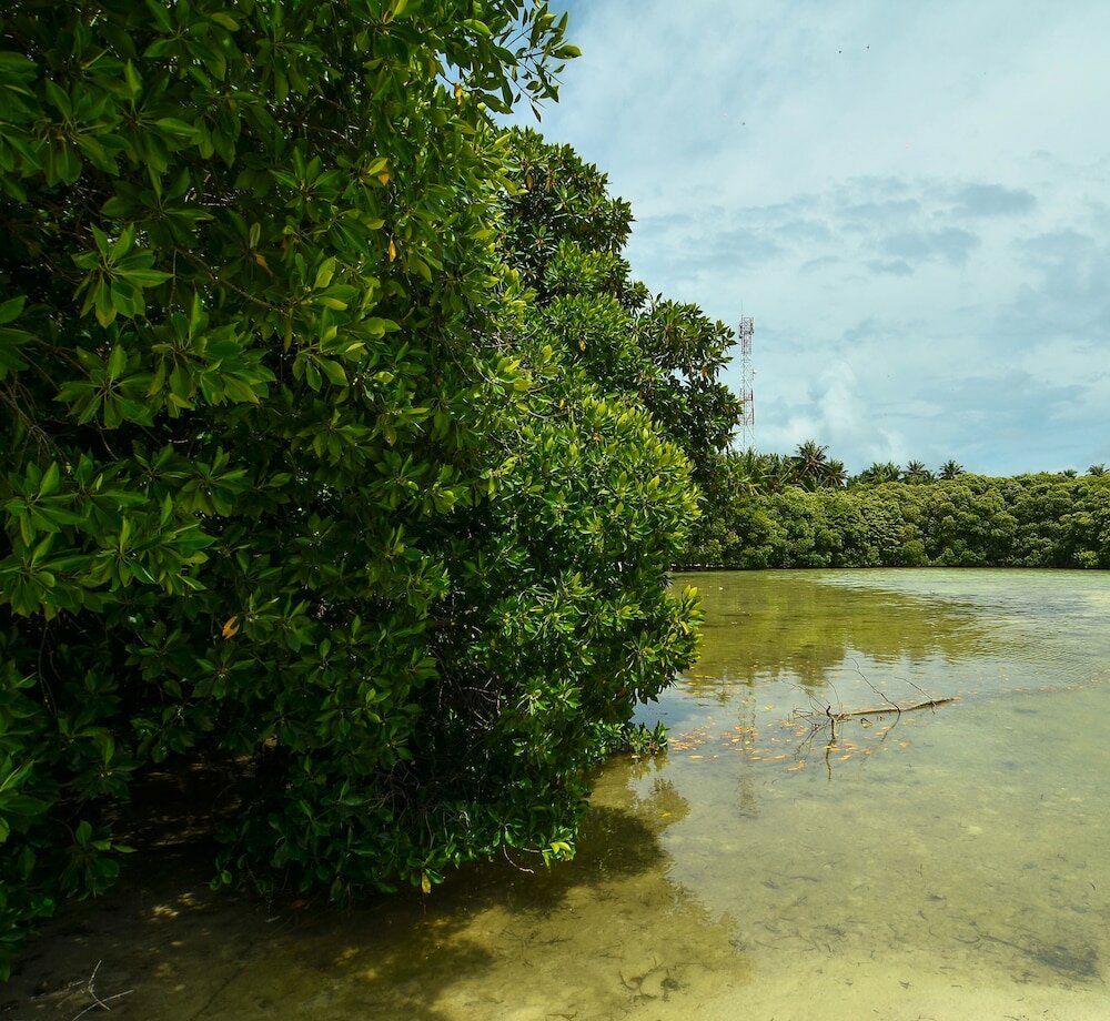Фото Huraa East Inn